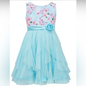 Jessica Ann Little Girls Floral Corkscrew-Tulle Fanciful Dress size 4